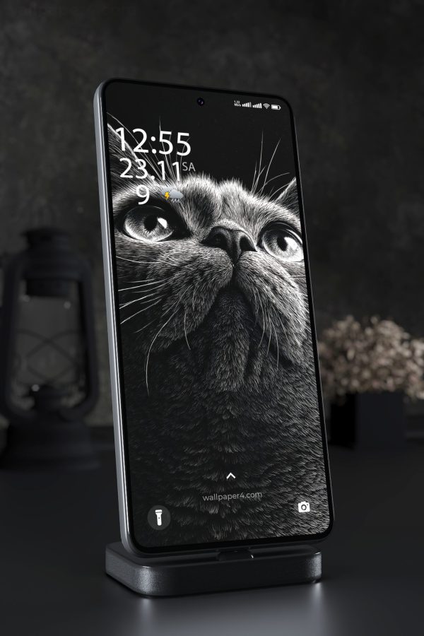 Phone Wallpaper 7591 - Curious Black and White Cat Close-Up Art