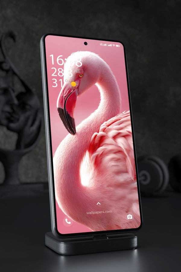Mobile Wallpaper 7629 - Elegant Pink Flamingo Portrait in Soft Light