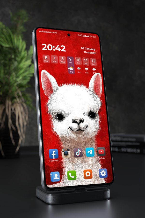Phone Wallpaper 7646 - Cute White Alpaca on a Bold Red Background