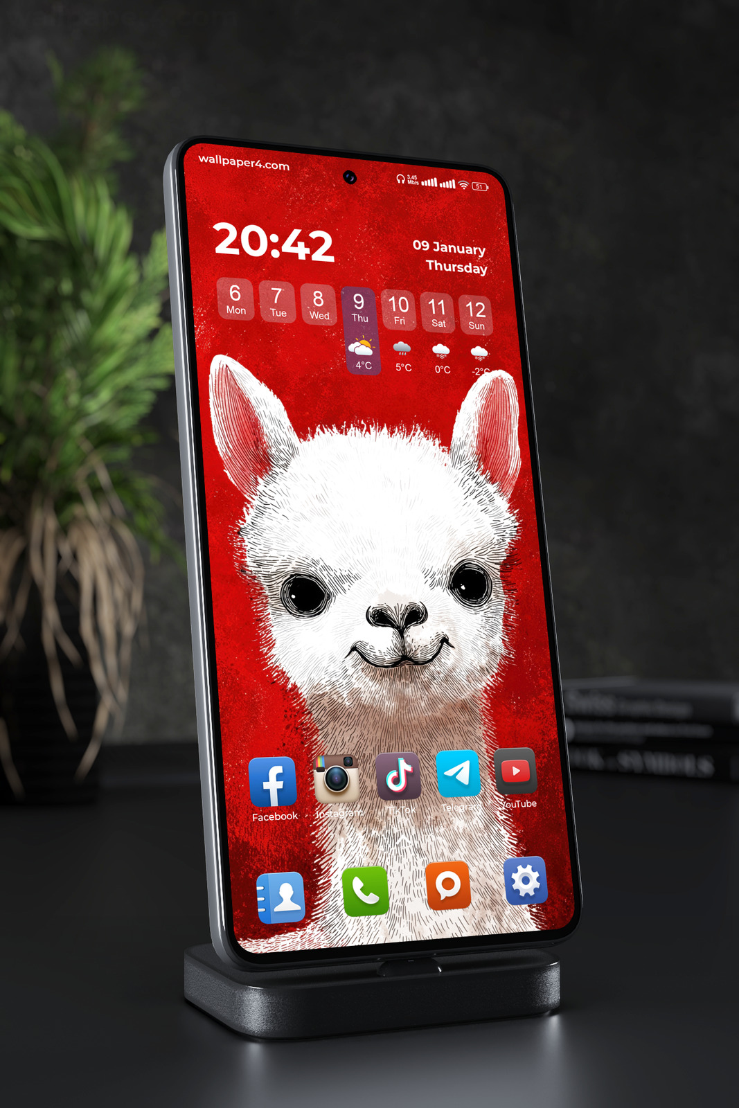 Phone Wallpaper 7646 - Cute White Alpaca on a Bold Red Background