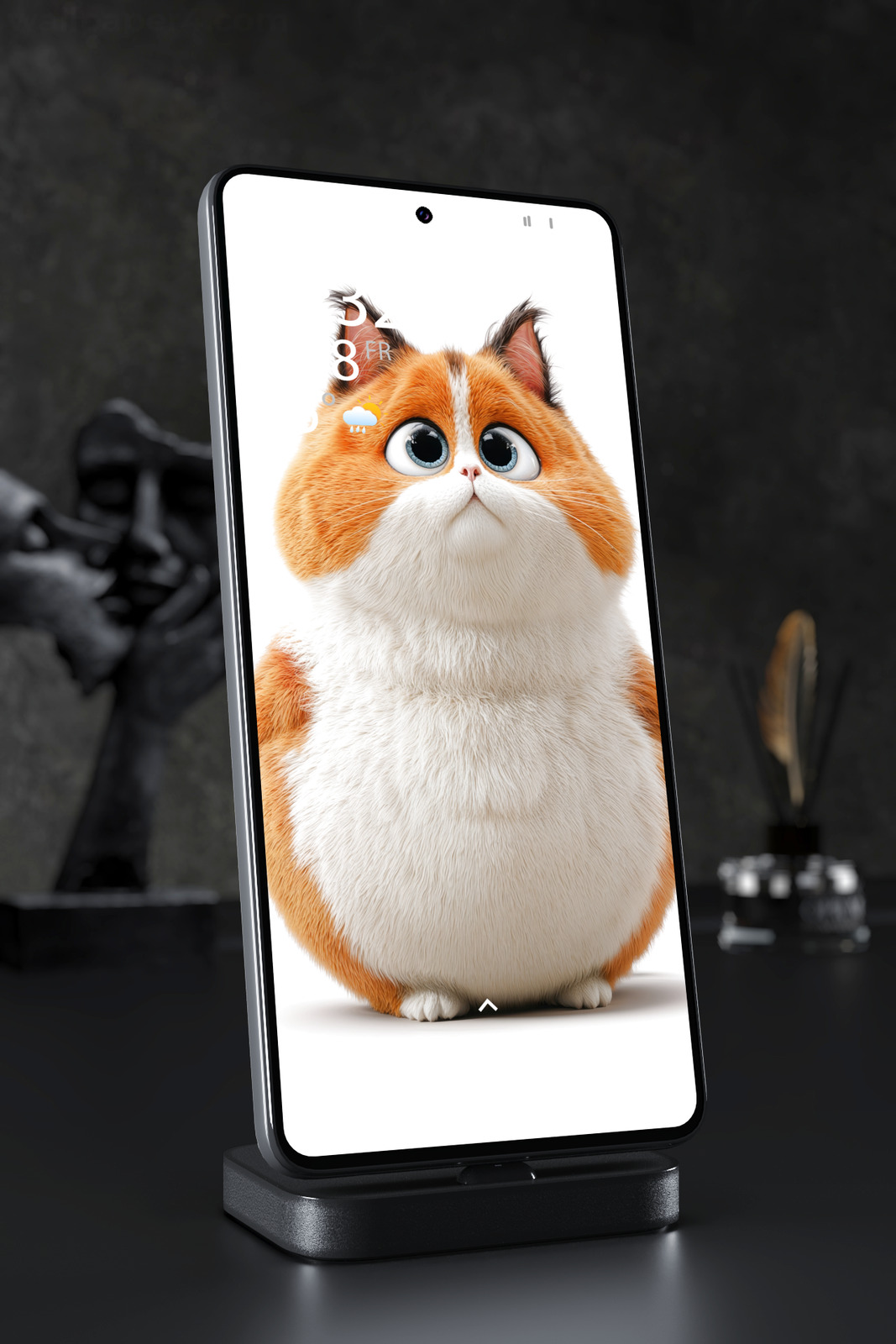 Phone Wallpaper 7651 - Adorable Chubby Orange Cat with Big Blue Eyes