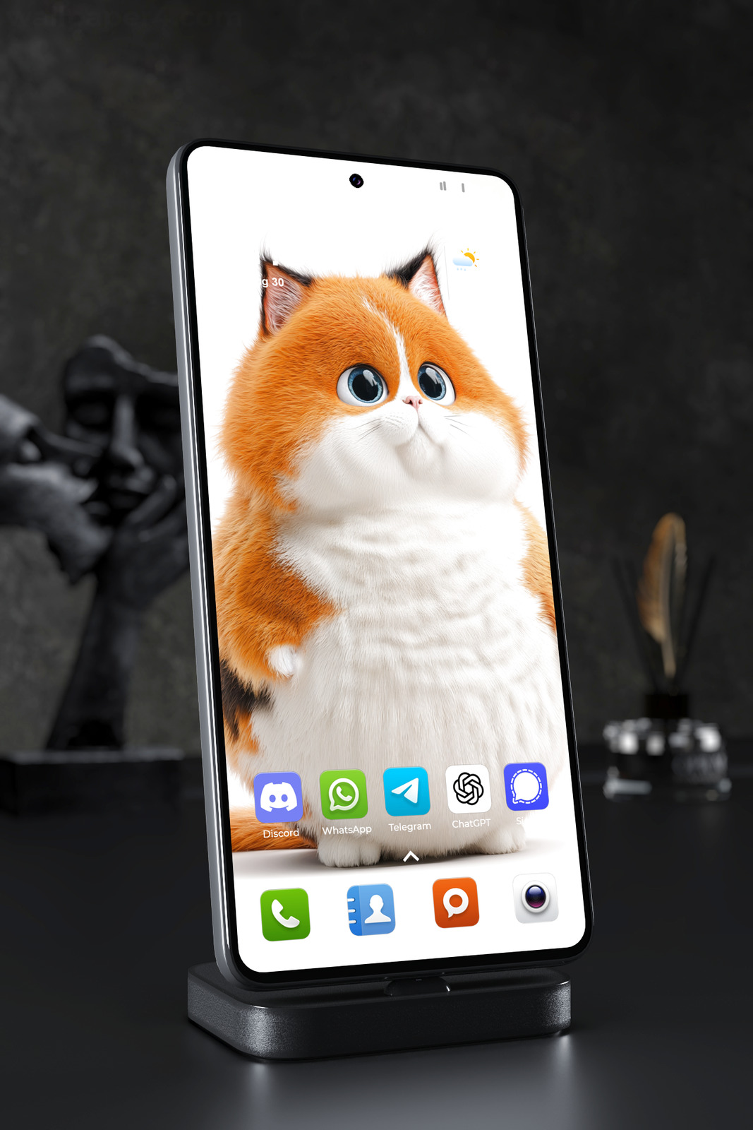 Mobile Wallpaper 7651 - Adorable Chubby Orange Cat with Big Blue Eyes
