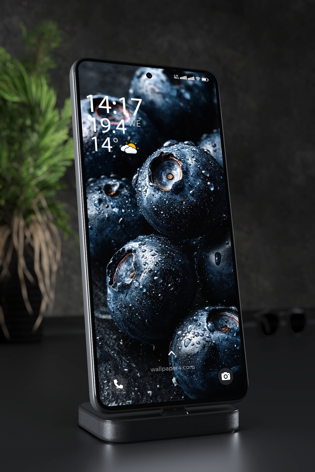 Mobile Wallpaper 7748 - Dark Blueberries with Fresh Water Droplets