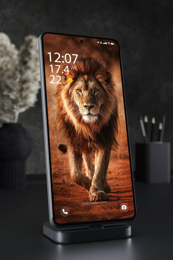 Phone Wallpaper 7920 - Majestic Lion Portrait in Golden Light