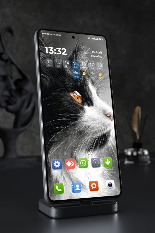 Phone Wallpaper 7929 - Black and White Cat Close Up Portrait