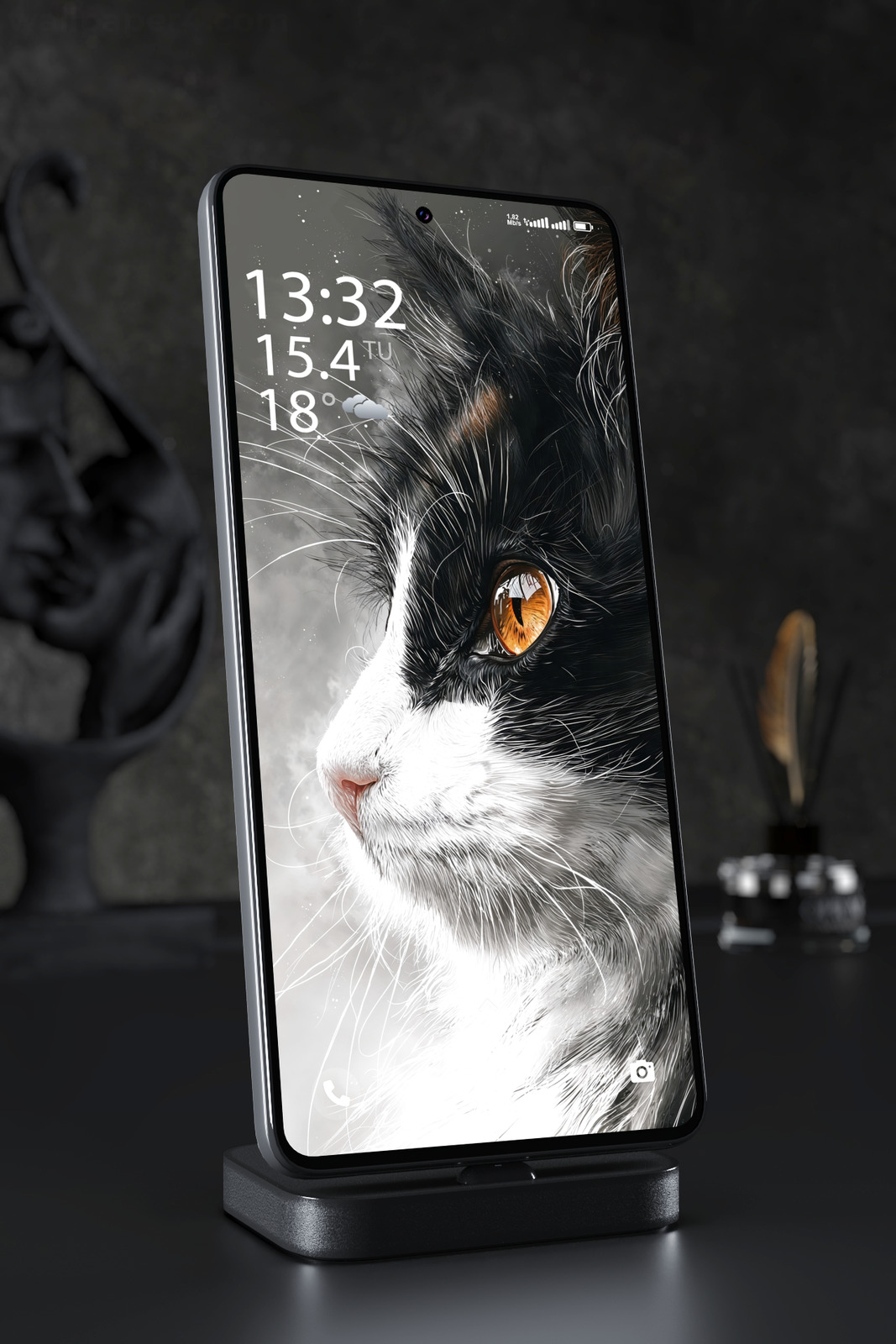 Mobile Wallpaper 7929 - Black and White Cat Close Up Portrait