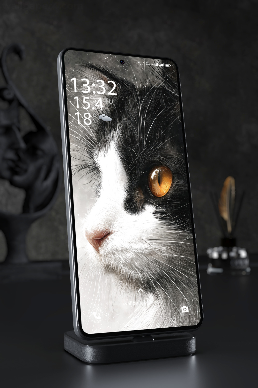 Mobile Wallpaper 7929 - Black and White Cat Close Up Portrait