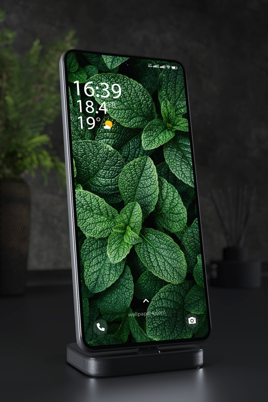 Phone Wallpaper 8245 - Deep Green Tropical Leaves with Rich Texture
