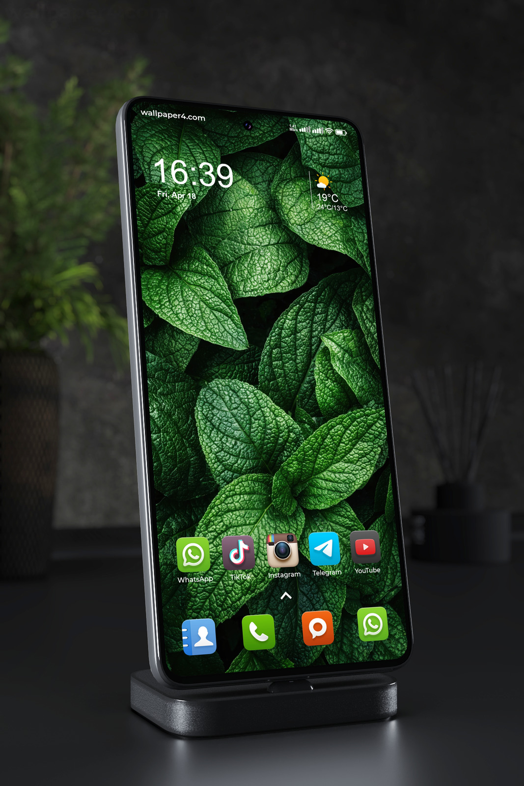 Mobile Wallpaper 8245 - Deep Green Tropical Leaves with Rich Texture