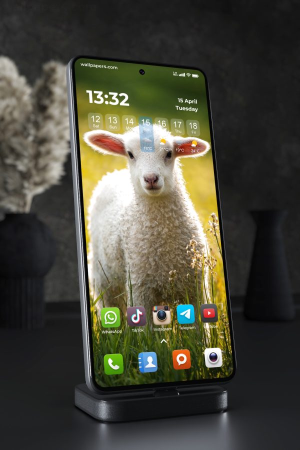Phone Wallpaper 8287 - Cute White Lamb in a Sunny Spring Meadow