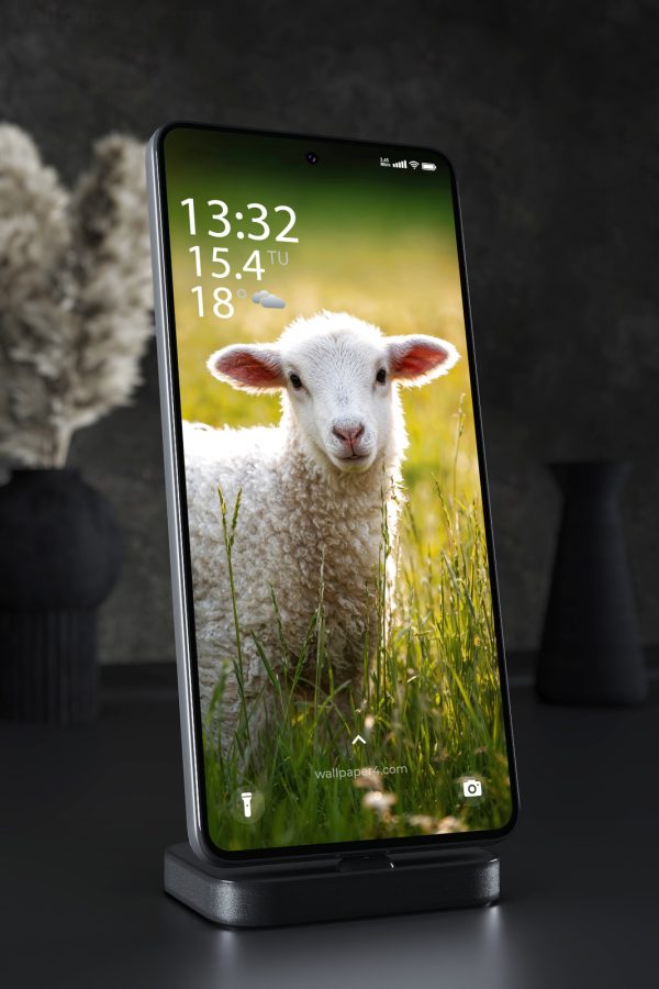 Mobile Wallpaper 8287 - Cute White Lamb in a Sunny Spring Meadow