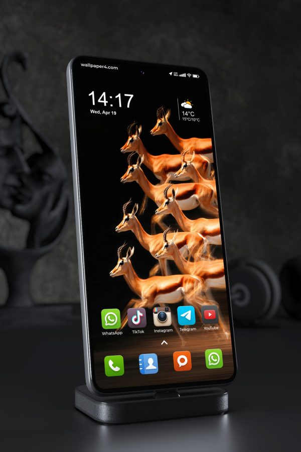 phone wallpaper 8293 2