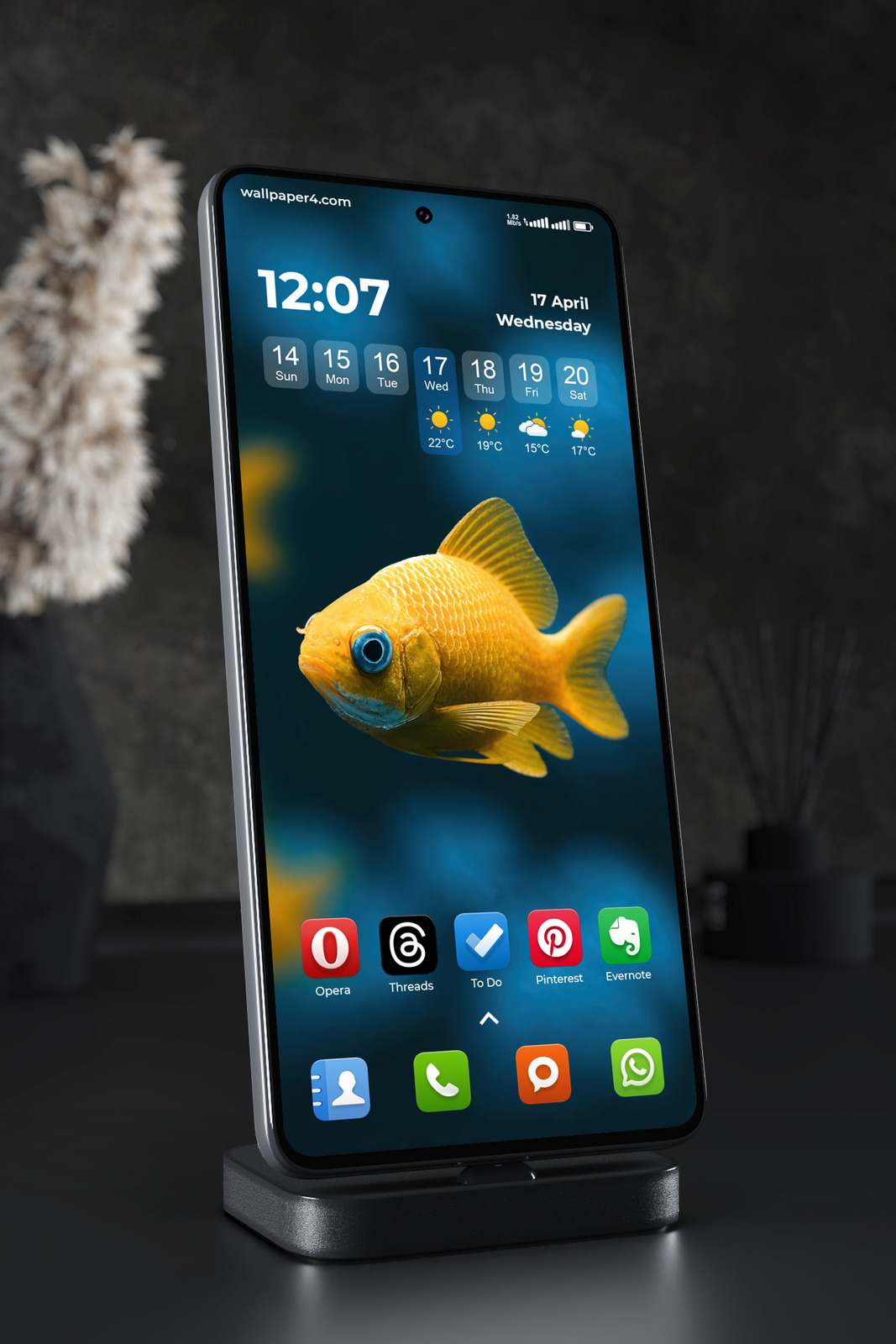 Phone Wallpaper 8296 - Golden Fish Swimming in Deep Blue Water
