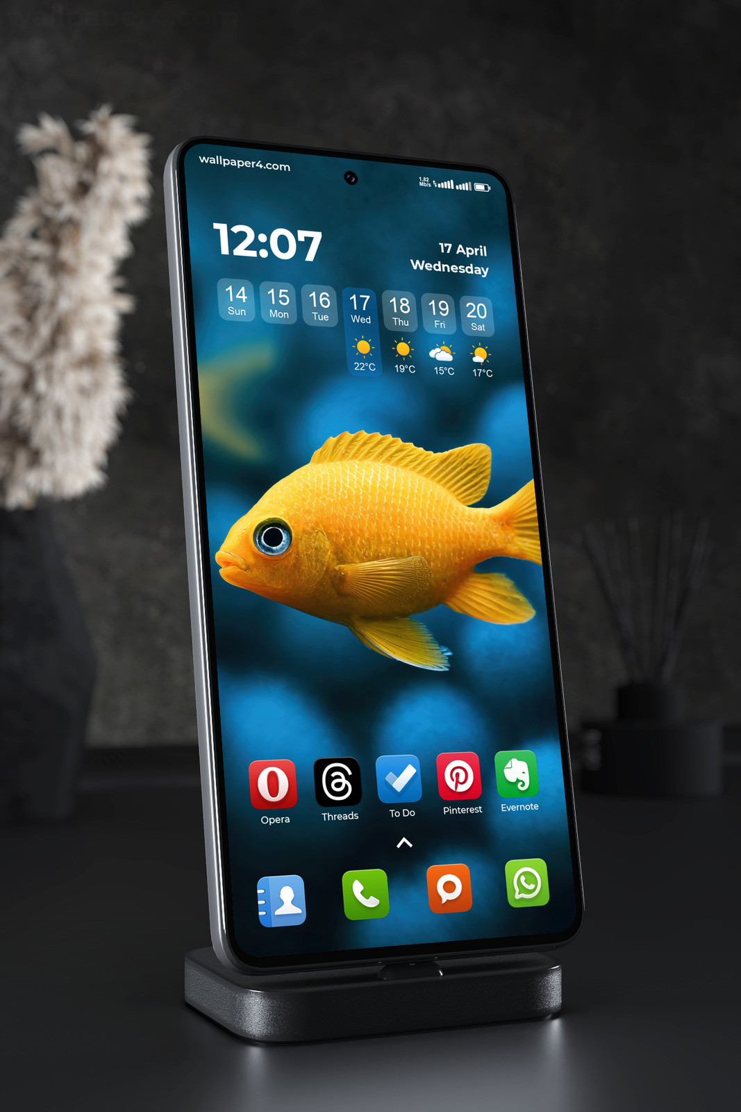 Mobile Wallpaper 8296 - Golden Fish Swimming in Deep Blue Water