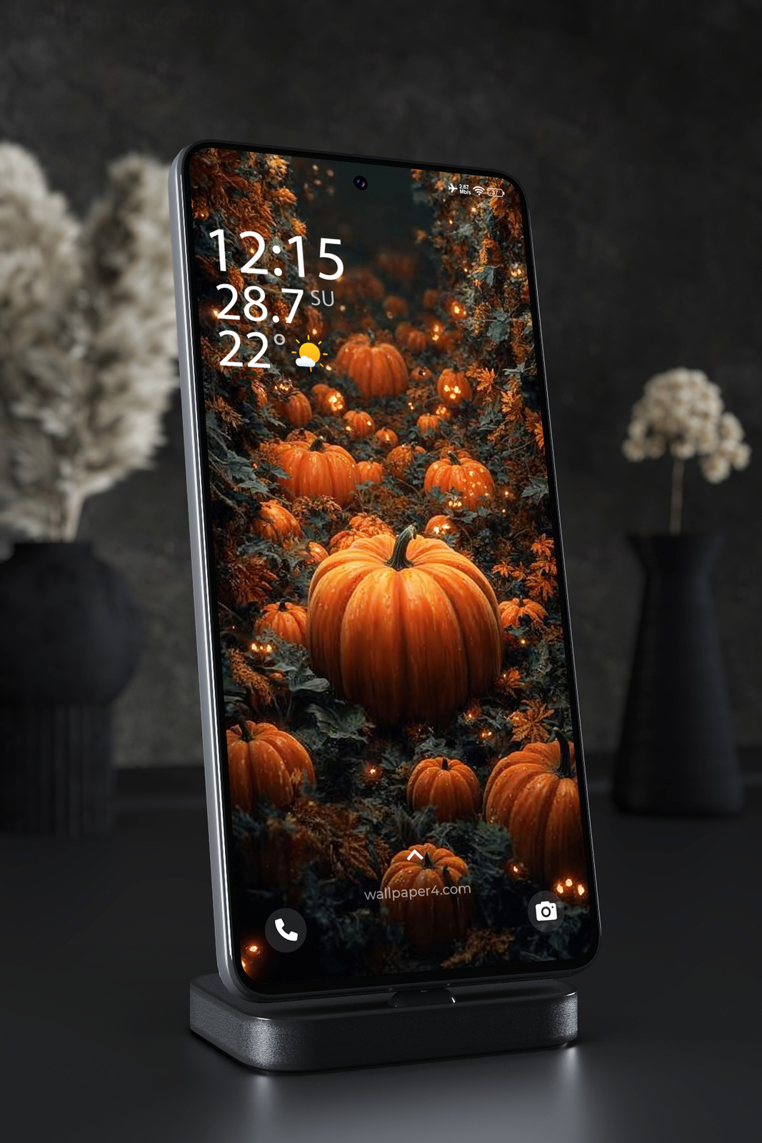 Mobile Wallpaper 8430 - Enchanted Halloween Pumpkin Forest at Night