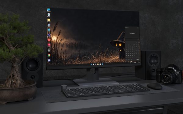 Desktop Wallpaper 8861 - Black Cat Beneath a Crescent Moon