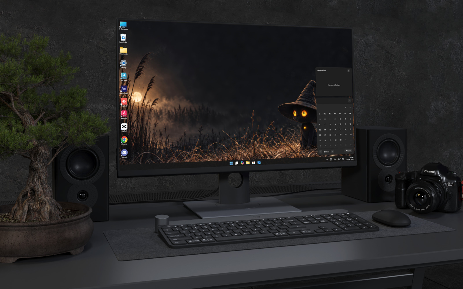 Desktop Wallpaper 8861 - Black Cat Beneath a Crescent Moon