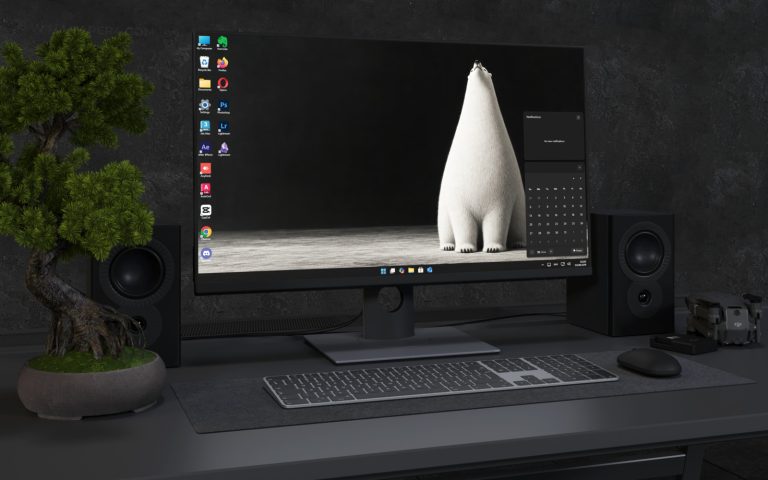 Desktop Wallpaper 9049 - Polar Bear Framed by a Wide Black Studio