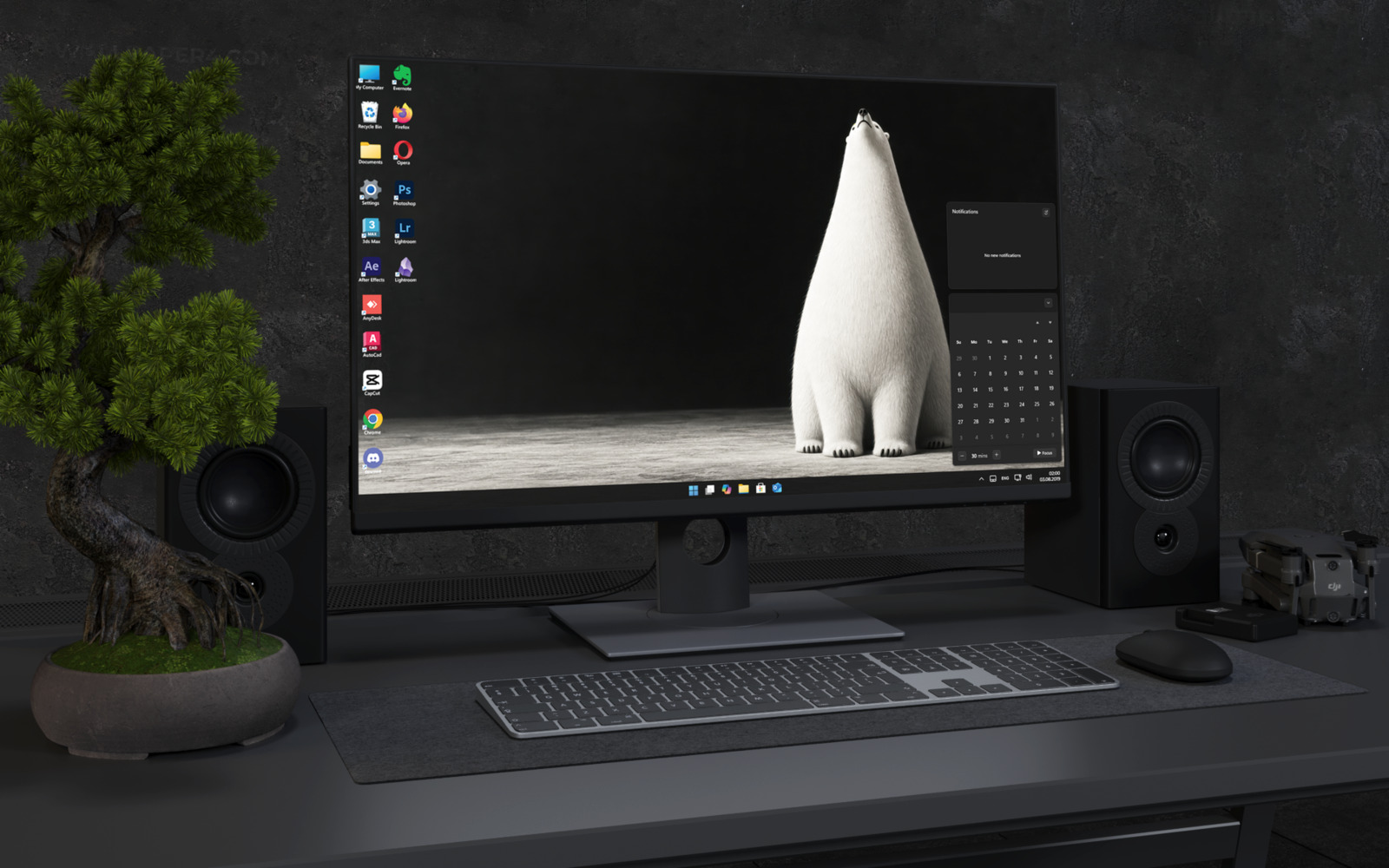 Desktop Wallpaper 9049 - Polar Bear Framed by a Wide Black Studio