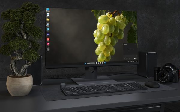 Desktop Wallpaper 9055 - Sunlit Grapes and Leaves Across Deep Shadow