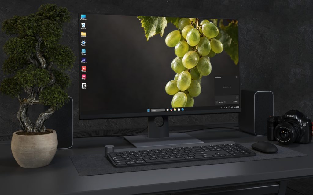 Laptop Wallpaper 9052 - Sunlit Grapes and Leaves Across Deep Shadow