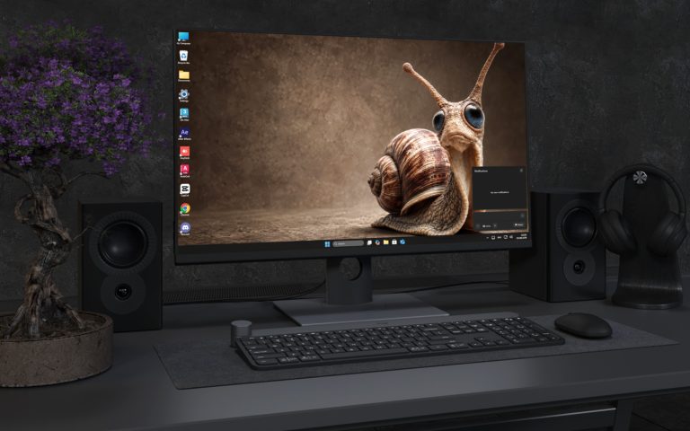 Desktop Wallpaper 9061 - Curious Snail Set Against a Warm Earthy Field