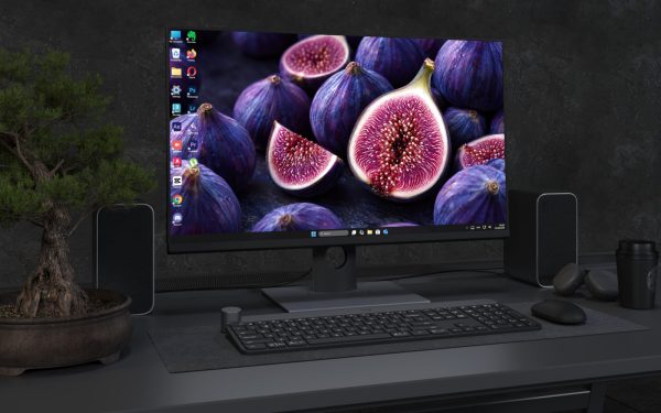 Laptop Wallpaper 9076 - Open Figs Arranged Across a Dark Surface