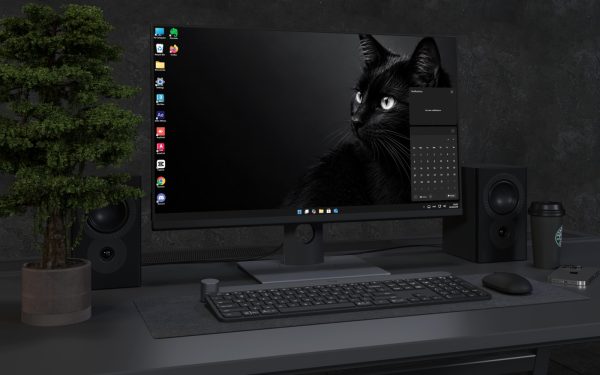 Desktop Wallpaper 9085 - Black Cat Gaze Emerging from Deep Shadow