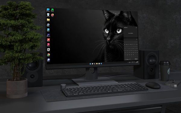 Laptop Wallpaper 9082 - Black Cat Gaze Emerging from Deep Shadow