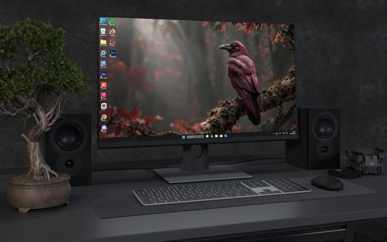 Desktop Wallpaper 9138 - Raven Perched in a Shadowed Red Forest