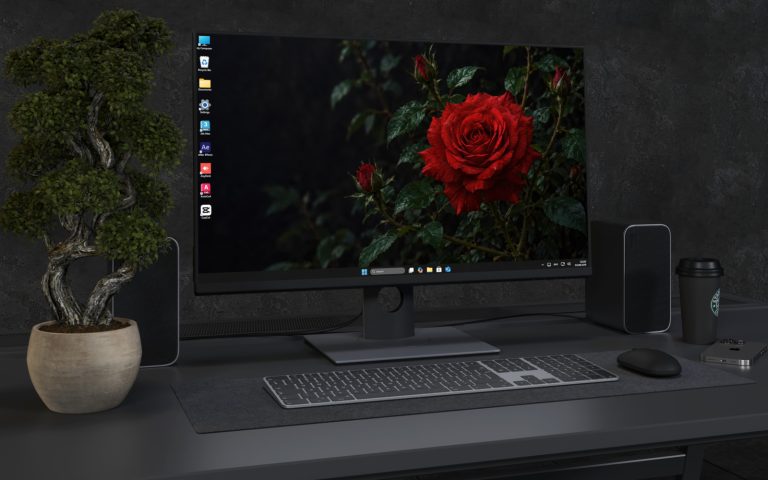 Desktop Wallpaper 9159 - Rain-Dark Rose Framed by Garden Shadows