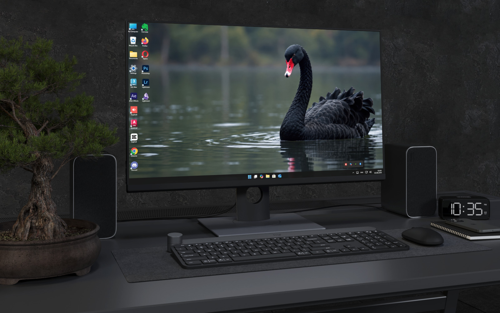 Desktop Wallpaper 9195 - Black Swan on Still Green Water