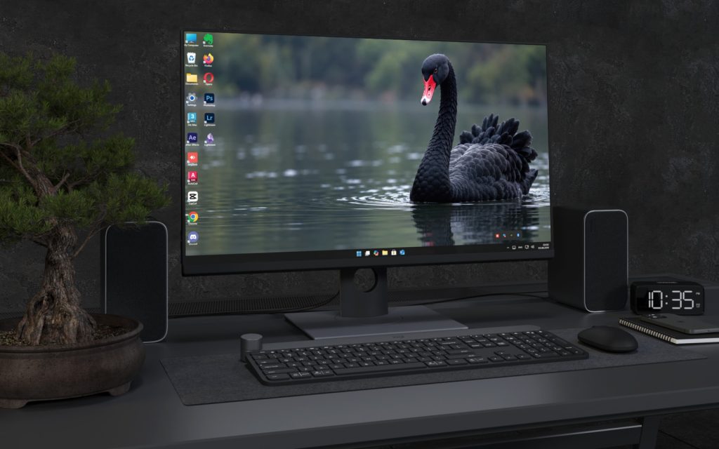 Laptop Wallpaper 9192 - Black Swan on Still Green Water