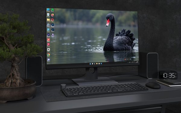 Laptop Wallpaper 9192 - Black Swan on Still Green Water