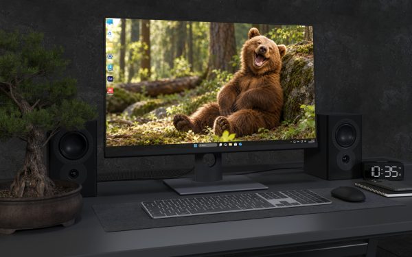 Desktop Wallpaper 9213 - Brown Bear Cub Resting in a Sunlit Forest