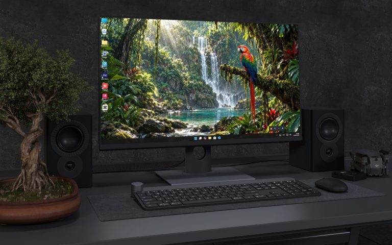 Desktop Wallpaper 9237 - Macaw Overlooking a Lush Forest Waterfall
