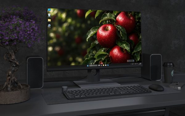 Desktop Wallpaper 9257 - Red Apples and Dewy Leaves in Soft Shadow