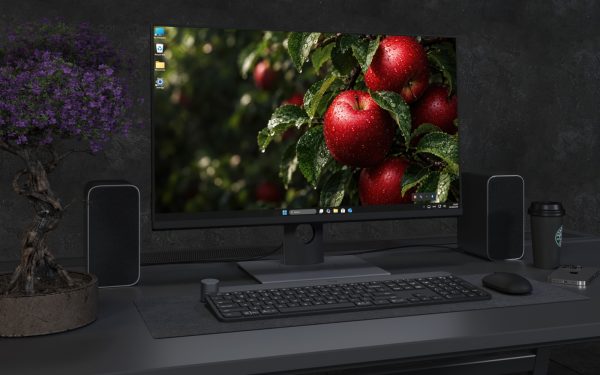 Laptop Wallpaper 9254 - Red Apples and Dewy Leaves in Soft Shadow