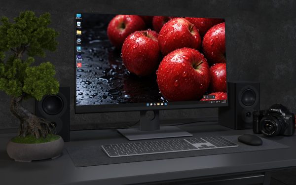 Desktop Wallpaper 9263 - Fresh Red Apples on a Dark Wet Surface