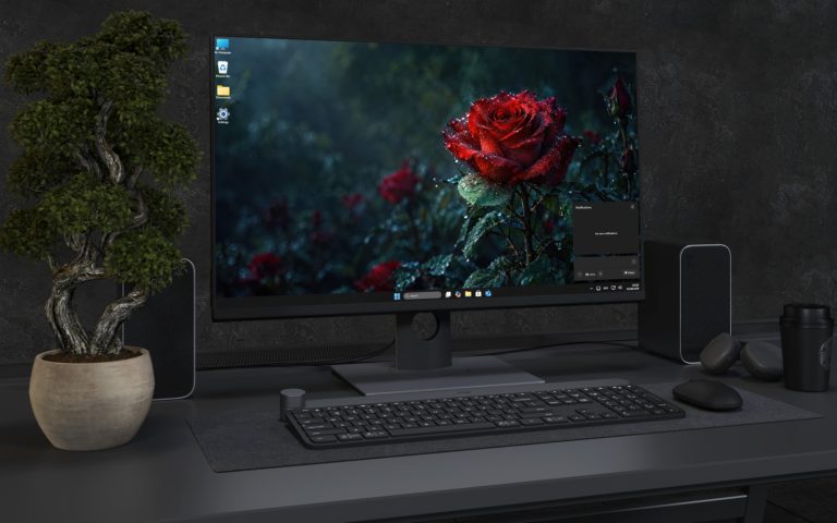 Desktop Wallpaper 9275 - Single Wet Red Rose in a Shadowed Garden