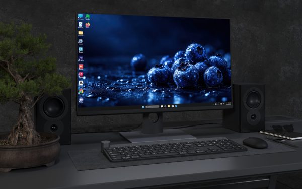 Laptop Wallpaper 9326 - Blueberry Cluster Across a Deep Blue Table