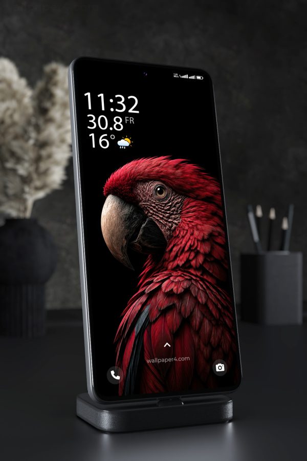 Phone Wallpaper 8855 - Crimson Macaw Portrait in Deep Shadow