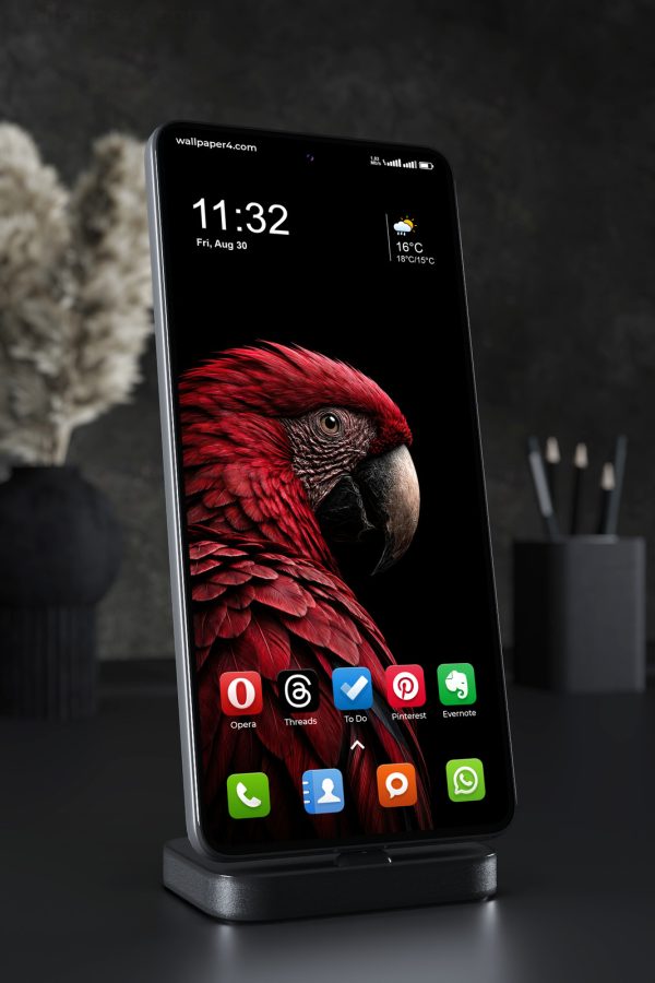 Mobile Wallpaper 8855 - Crimson Macaw Portrait in Deep Shadow