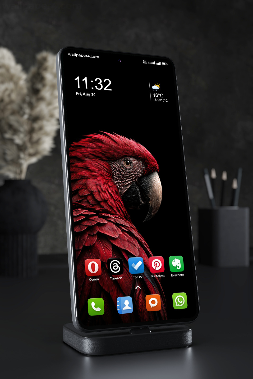 Mobile Wallpaper 8855 - Crimson Macaw Portrait in Deep Shadow