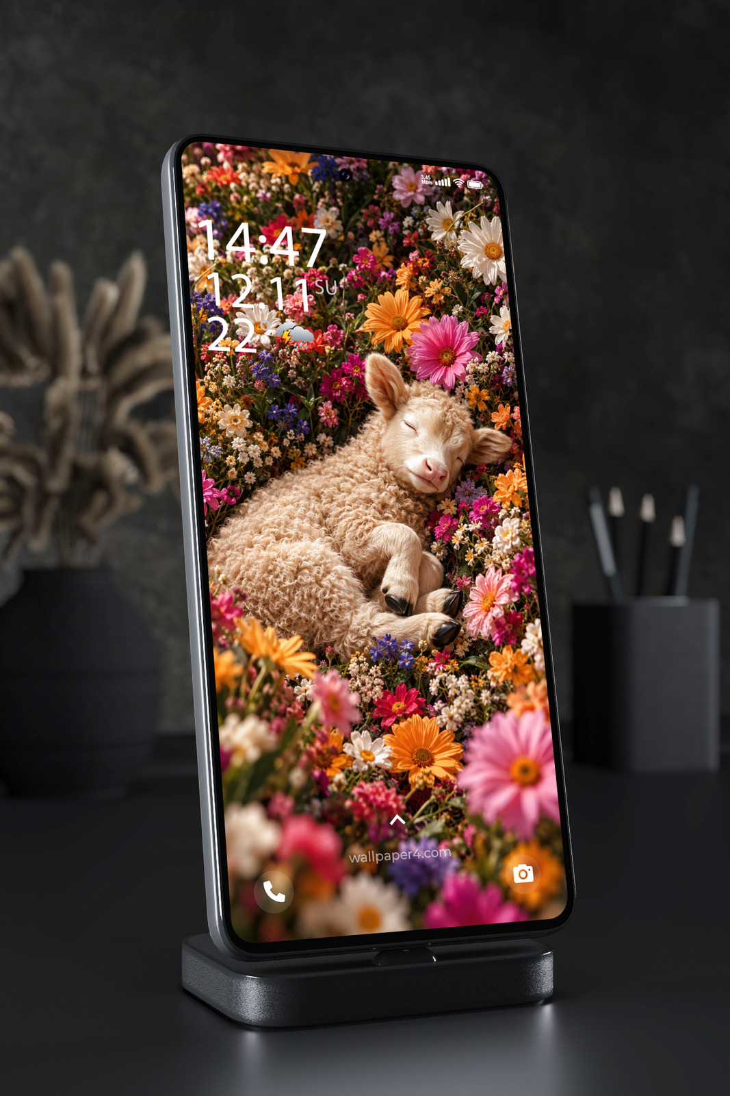 Phone Wallpaper 8909 - Sleeping Lamb Resting Among Bright Wildflowers
