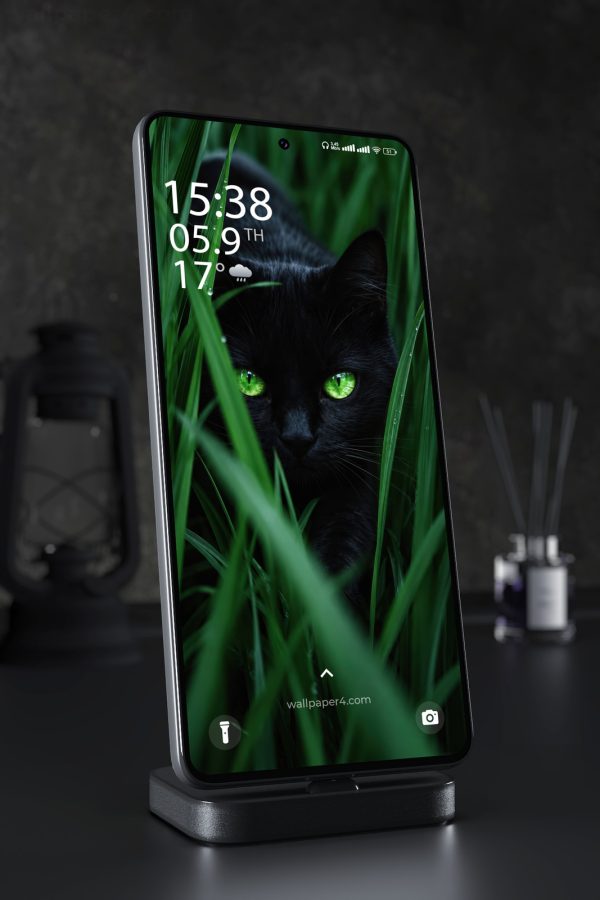 Phone Wallpaper 8950 - Black Cat with Bright Green Eyes in Grass