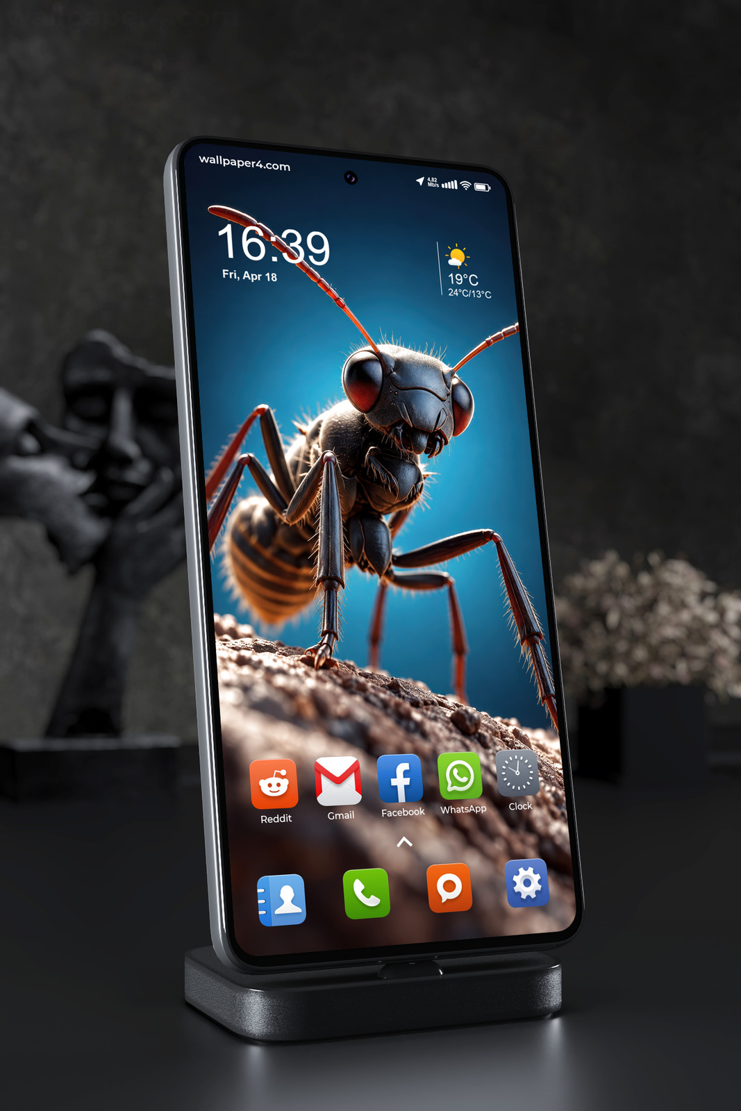 Phone Wallpaper 9016 - Black Ant Standing on a Textured Blue Ridge