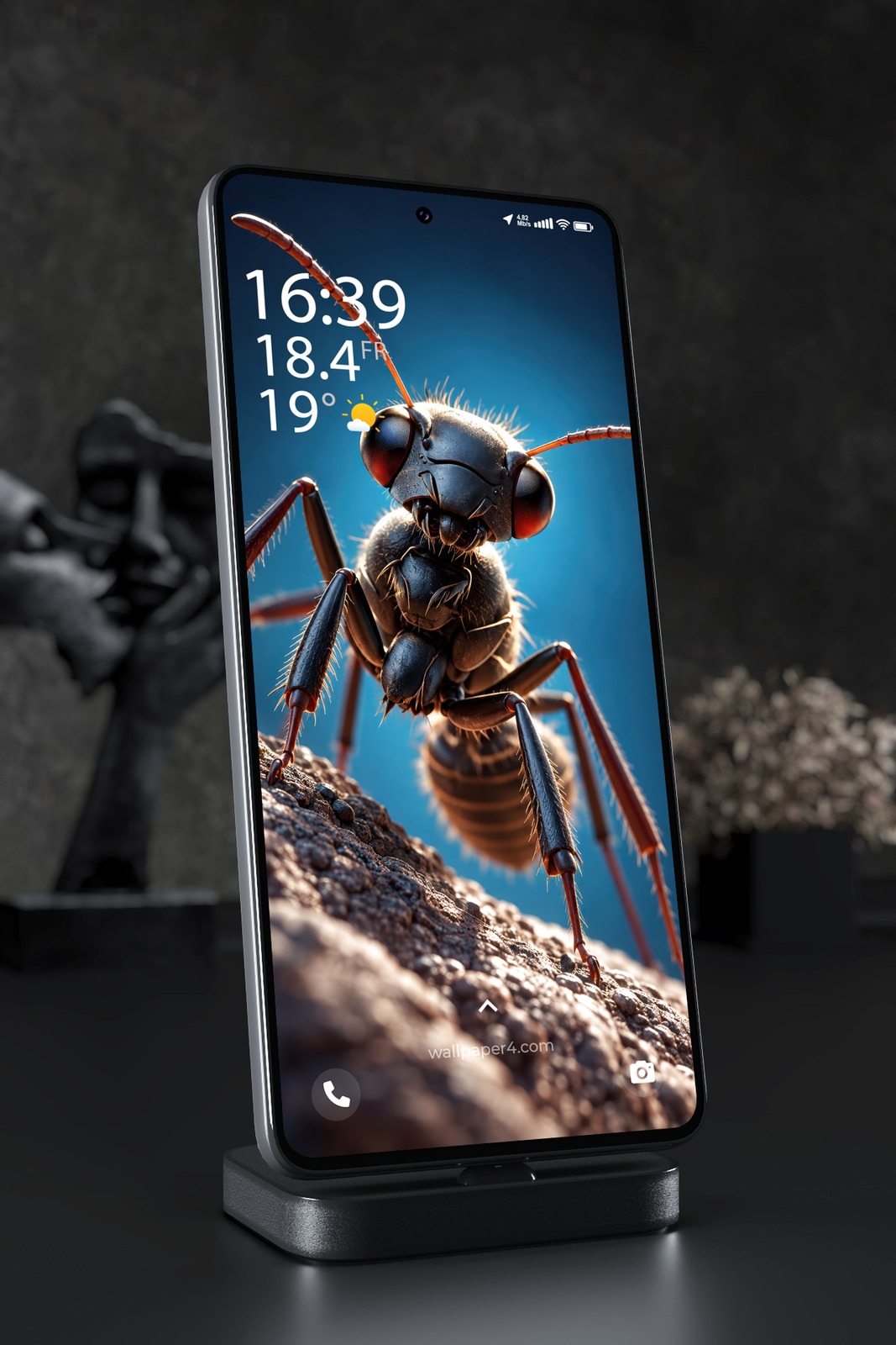 Mobile Wallpaper 9016 - Black Ant Standing on a Textured Blue Ridge