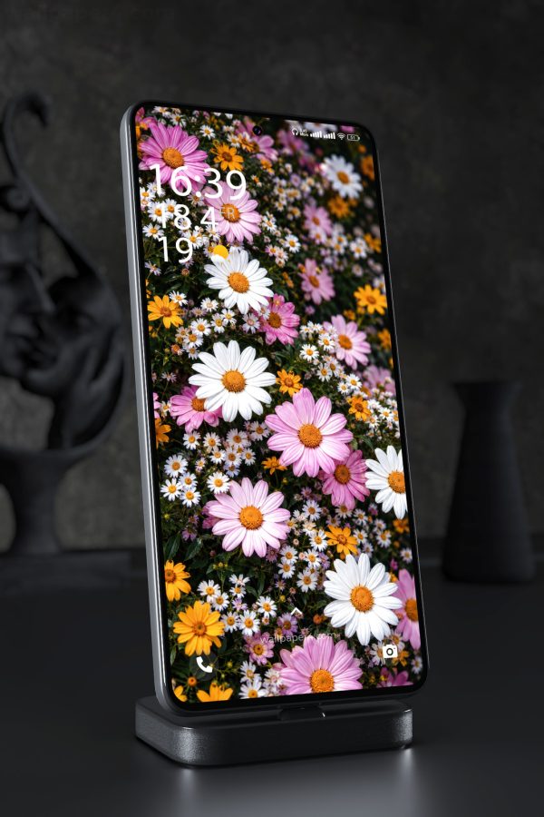 Phone Wallpaper 9043 - Pink and White Daisies in a Dense Floral Field
