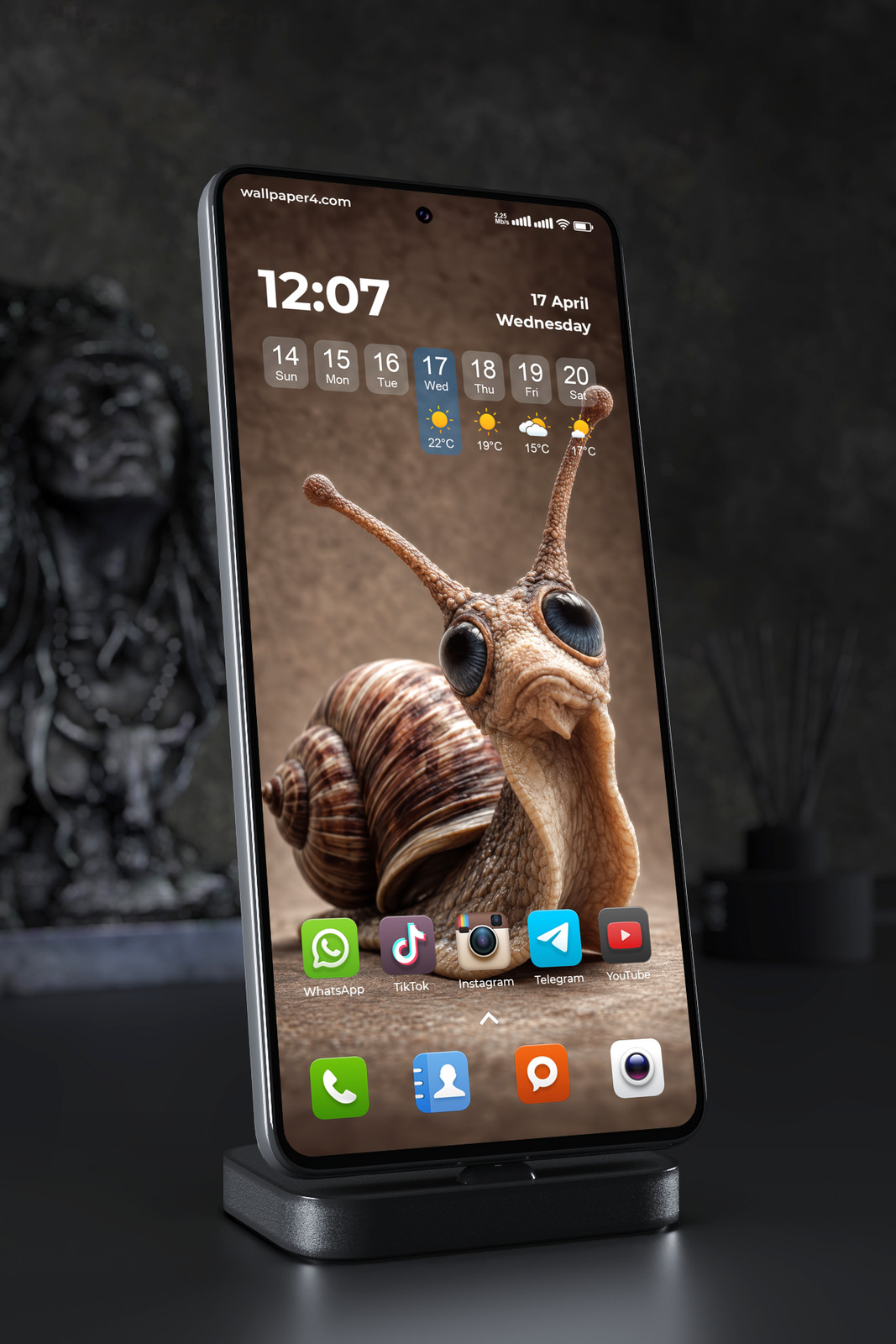 Phone Wallpaper 9058 - Wide-Eyed Snail with a Striped Brown Shell